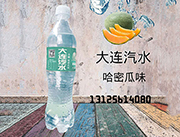 大连汽水哈密瓜味无糖饮料