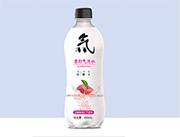 白糖味苏打气泡水瓶装480ml