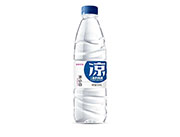 凉小白520ml